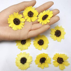 Dekorative Blumenkränze, 1 Set, 3–5 cm, gepresste getrocknete Blumen, Sonnenblumen, Herbarium, Epoxidharz, Lesezeichen, Requisite, Schmuck, Postkarte, Einladungskarte