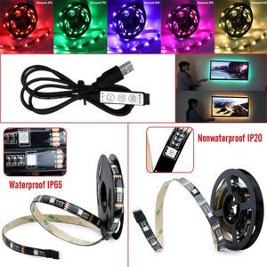 Strips 5V 12-15lm/PC Multicolor Manual Control Strip Light mit USB angetriebenen TV-Hintergrundbeleuchtung Weihnachtshintergrund beleuchtete Stripled LED LED