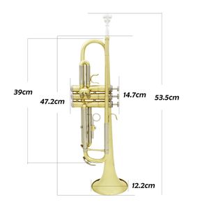 BB Trumpet Gold Strumento musicale placcato in argento