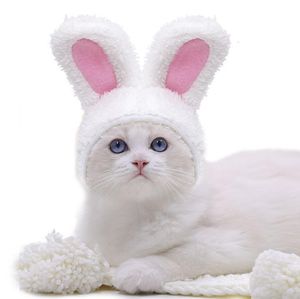 Cute Cat Headgear Bunny Drag Hat Cats Dog Headwear Costume Performance PhotoProps Funny Pet Hat Rabbit Ears Cosplay Warm Hood