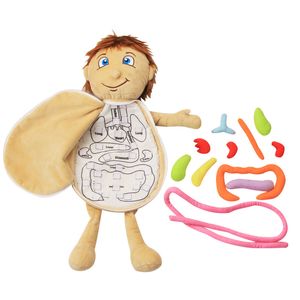 Andra leksaker Montessori Human Body Model Anatomy Doll Soft Doll Toy Anatomical Internal Organs Awareness Learn Early Education Toys CX220315