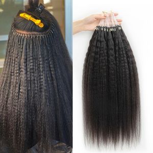 Kinky Straight Brasilian Micro Loop Ring Hair 100% Human Hair Extensions 16 