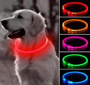 LED Flash Dog Collar Light Up Puppy Neckcollar Glowing Halsband för små medium stora husdjur USB -laddningsbara Cuttable