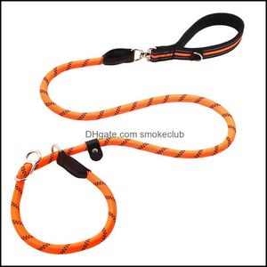 Ropes Dog Training Obedience Chain Explosion-Proof Okinawa Medium-Sized Corgi Large Walking Golden Retriever Rope Traction Drop Delivery 2