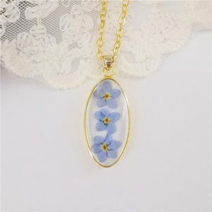 Pendant Necklaces Charm Oval Dried Flower Fashion Real Resin Necklace Do Not Forget Me Rose Women's JewelryPendant