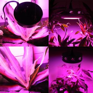 Full spectrum LED Grow lights 150W for Flower plant Hydroponics system AC 85V -265V grow light