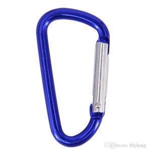 Wholesale large carabiner hook for sale - Group buy Large Carabiner Keyrings Key Chain Outdoor Sports Camp Snap Clip Hook Keychains Hiking Aluminum Metal Stainless Steel Camping Carabiners Clip tool