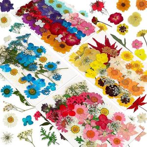 Dekorativa blommor Kransar 144st Naturtorkad pressad för harts, torrblomma Bulk Herbs Kit Candle, epoxiharts, DIY Art Crafts Cnim