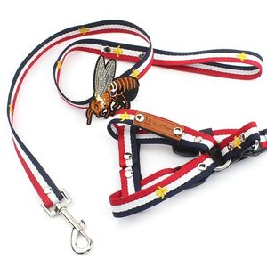 Pupply Dog Harness Leash 2st Set's Fashion Bee broderi Teddy Collar Dog Walking Rope Chain For Small Dogs Puppy 201105