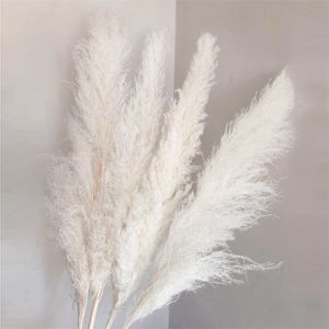 140CM Natural White Pampas Grass Large Big Real Dried Flowers Bouquet Artificial Plants for Wedding Home Living Room Decoration 220408