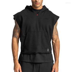 Herren Hoodies Sweatshirts Frühling und Herbst einfarbiger Pullover koreanische Ausgabe lose große Größe lässig vielseitige Bewegung mit Kapuze ärmellos