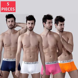 Underpants 5pcs Calivn Klain 남자 속옷 편지 인쇄 된 남자 복서 요약 소프트 복서 쇼트 3D 파우치 반바지 malenderpants를위한 팬티