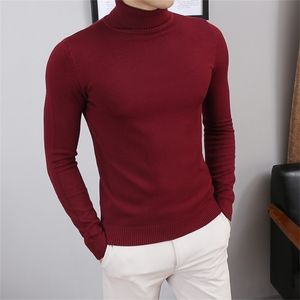 Turtleneck Sweaters For Men Autumn Knitted Pullovers Korean Knitwear Slim Fit Solid Color Casual Mens Wool Sweaters S3XL 201125