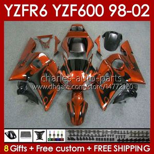 Zestaw Bodys dla Yamaha YZF R6 R 6 YZF600 600cc 98-02 Bodywork 145NO.44 YZF 600 CC YZF-600 YZFR6 98 99 00 01 02 Ramka YZF-R6 1998 1999 2000 2001 2002 Pełne płomienia pomarańczowe Fairing Oransat