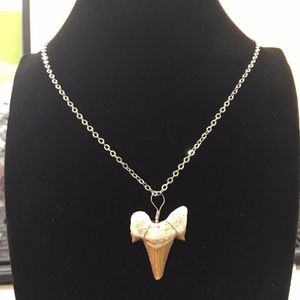 Pendant Necklaces 1pc Natural Tooth Stone Druzy Gem Necklace Sliver Plated Color Chain Charm Teeth Women/MenPendant