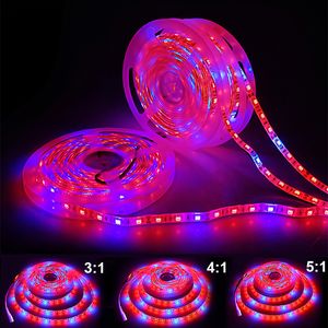 Grow Lights Full Spectrum LED Strip M Roll LED s Chip Fitolampy Waterdicht voor Indoor Greenhouse Hydroponic Plant
