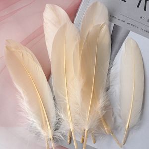 Decorazione di piume di piume d'oca naturali 15-20 cm Pennacchio di piume di cigno colorato per decorazioni domestiche Gioielli artigianali per feste fai-da-te