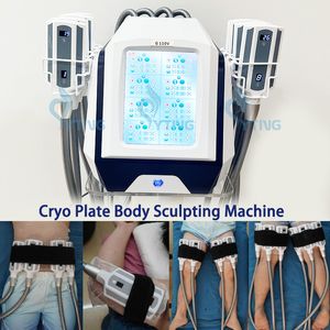 Escultura de gelo Slimming Machine Redução de gordura Crioterapia Remoção de celulite Forma do corpo do corpo