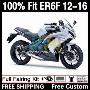 Corpo OEM per KAWASAKI NINJA 650R 650 R ER6 F ER 6F 2012-2016 Carrozzeria 11DH.25 ER-6F ER6F 12 13 14 15 16 650-R 2012 2013 2014 2015 2016 Kit carenatura per stampi ad iniezione argento lucido