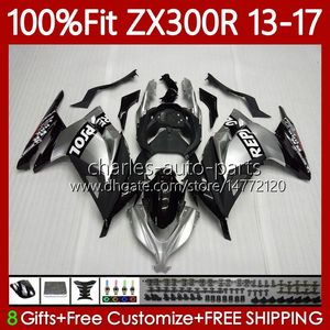 Kawasaki Ninja EX ZX 3R 300R ZX-3R ZX-300R 13-17 125NO.13 EX300R ZX300R ZX300 ZX3R 13 14 15 16 17 EX-300 2013 2014 2015 2015 2015 2015 2016 2016 2015 2015 2016 2017射出フェアリップルシルバー