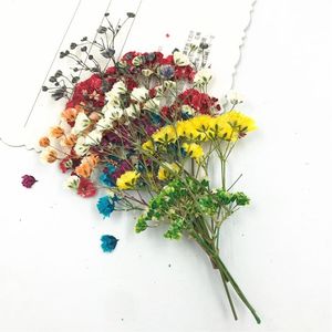 Dekorativa blommor kransar 8 st/väska mix pressad blomma små torkade gipsfila för tvålljus gör dekoration diy prydnad scrapbookingd