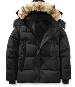 Mężczyźni Winter Fourrure Down Parma Homme Jassen Chaquetas Wolf Wolf Fur z kapturem Manteau Wyndham Ośłupka Hiver Doudoune