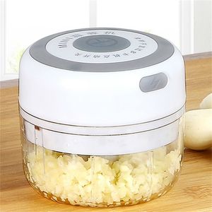 100ML Mini Smerigliatrice per aglio Tritatutto per aglio elettrico Cordless Food Frutta Frullatore per verdure Gadget da cucina USB ricaricabile 210319