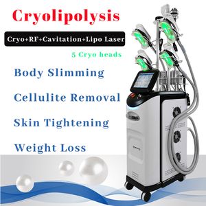 Cryo 슬리밍 머신 냉동 요법 진공 치료 지방 용해 40k 캐비테이션 바디 재 형성 장비 5 동결 헤드