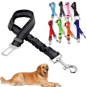 Dog Collar Leashes Medium Harness Leash Collar Set Points Små Tillbehör Kläder för Hundar Pet Cats Stor Tillbehör Ljus Stor Valp