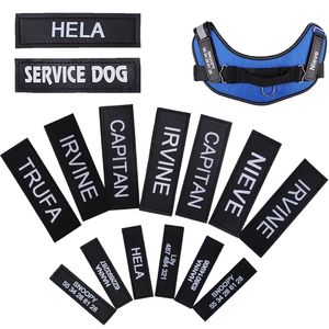 Tags de identificação de cães personalizadas Cat Patch Nome Diy Número do telphone Antilost Collar Streck Sticker Acessórios para cães 220610