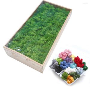 Flores decorativas grinaldas de musgo natural Planta artificial eterna decoração de jardim doméstico Material de flores DIY Micro paisagem