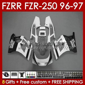 OEM-Karosserie für Yamaha FZR250RR FZR250-R FZR-250R FZR250R 96-97 Karosserie 144No.102 FZR-250 FZR250 R RR 1996 1997 FZRR FZR 250R 250RR FZR 250 R RR 96 97 Verkleidung grau glänzend