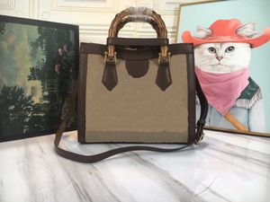 Diana Bamboo Aria Koleksiyonu Tote Çanta Tasarımcı şekli retro klasik bambu karışımı Kare Kanvas ve deri kombinasyonu Crossbody Bayan Omuz Alışverişi