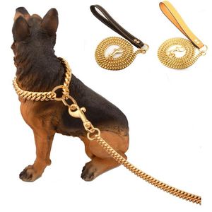 Roestvrij staal Pet Gold Chain Hond Lees Lederen Handgreep draagbare riem touwbanden puppy hond kat training slip kraag benodigdheden1328n
