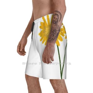 Shorts de leão -de -leão -de -leão -de -praia de natação rápida da praia da natureza, onde as coisas selvagens são os filhos românticos de flor românticos