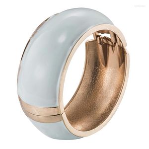 Bangle UJOY Wide Bracelet Muti Color Available Cuff Hinge Enamel 7759 Raym22