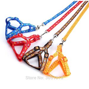 20 pezzi di stampa Corda regolabile Pet Dog Puppy Cat Lead Guinzaglio Walking Chest Strap Training Guinzaglio Gatti Cani Harness Collare Guinzagli 201101