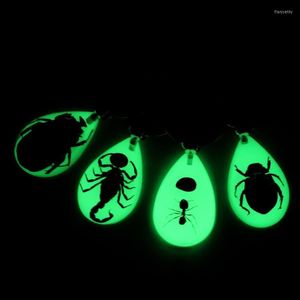 Anahtarlık Aydınlık Yaratıcı Akrep Anahtar Kez Araba Yapay Amber Böcek Anahtar Yüzük Çanta Cüzdan Kolye ScorpionKeychains Fier22