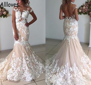 Abiti da sposa a sirena country champagne rustico Abiti da sposa glamour in pizzo con applicazioni di collo trasparente Maniche ad aletta Abito da sposa Sweep Train Sexy Open Back Vestidos De Novia CL0718