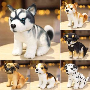 Pc Cm Simulation Cute Dog Plush Toy Beautiful Husky Akita Rottweiler Animal Dolls Stuffed Hugs for Kids Boys Xmas Gift J220704