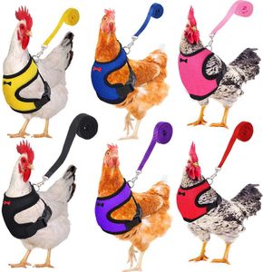 Confortevole imbracatura al guinzaglio pollo regolabile e gilet traspirante di piccole dimensioni per gallina per addestramento di pollo anatra oca a piedi