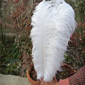 Wholesale 16 feathers for sale - Group buy 100 inch35 cm white Ostrich Feather plumes for wedding centerpiece wedding party event decor festiv232b