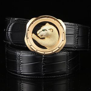 Bälten män topp läder cowskin bälte enkel fritid affärsmän och kvinnors universella lyxiga rostfritt stål cheetah bucklebelts