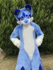 Długi futra Husky Dog Fox Mascot Costume Fursuit Halloween Mascotsdress Adult Mascot Parade Suit
