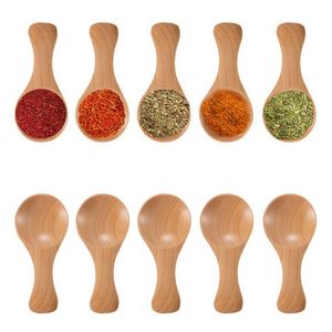 Short Handle 10pic/set Wooden Spoon, Perfect for Small Jars of Jam, Spices, Condiments, Seasonings, Sugar, Honey, Coff