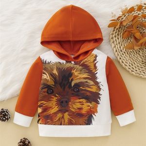 Baby hund print hoodie hon
