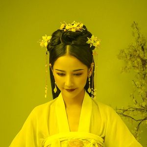 Ohrringe Halskette Chinesische Hanfu Kleid Haarnadel Clips Schmetterling Blume glänzende Kristallperlen Quasten Haarkämme Kopfstücke Schmucksets