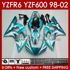 Рамка тела для Yamaha YZF-600 YZF R6 R 6 600CC YZFR6 1998 1999 00 01 02 Bodywork 145NO.209 YZF 600 CC Cowling YZF-R6 98-02 YZF600 98 99 2000 2001 2002 Общежитие металлическое цир