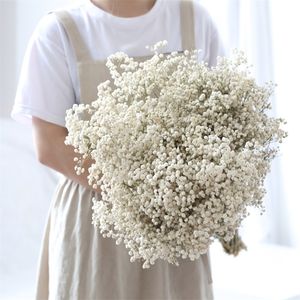Natural Dried Preserved Flowers Gypsophila Paniculata Baby's Breath Flower Bouquets Gift for Wedding Home Decor Props for Po 220406