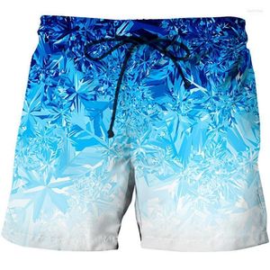 Shorts masculinos Plus Size Men Beach Wear Board Havaian Cantas Roupas de verão para Bermudas Casual NAOM22's NAOM22